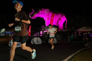 BIB: 
                            <button type="button" onclick="openModal(26535220)" class="btn btn-primary btn-sm float-right btn-popup" data-toggle="modal" data-target=".modal-high-quality">
                        <i class="fas fa-shopping-cart"></i> Add to Cart
                    </button>
                                            <button type="button" onclick="isThisMe(26535220, true)" class="btn btn-success btn-sm float-right btn-popup btn-isme hidden" data-toggle="tooltip" data-placement="bottom" title="นี่คือรูปของคุณใช่ไหม คลิกที่นี่เพื่อเอาเข้าอัลบั้ม">
                        <i class="fas fa-plus"></i> Add to album
                    </button>
                    <button type="button" onclick="isThisMe(26535220, false)" class="btn btn-warning btn-sm float-right btn-popup btn-isnotme hidden">
                        <i class="fas fa-ban"></i> Remove from album
                    </button>